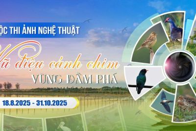“Vũ Điệu Cánh Chim Vùng Đầm Phá”: Cuộc thi ảnh tôn vinh vẻ đẹp chim hoang dã Miền Trung