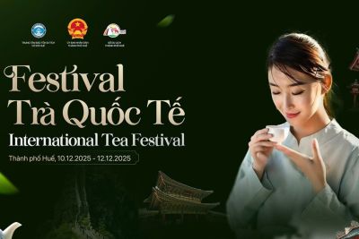 Festival Trà Quốc tế – Huế 2025: Hành Trình “Đánh Thức” Ngàn Năm Tinh Hoa Trà Việt