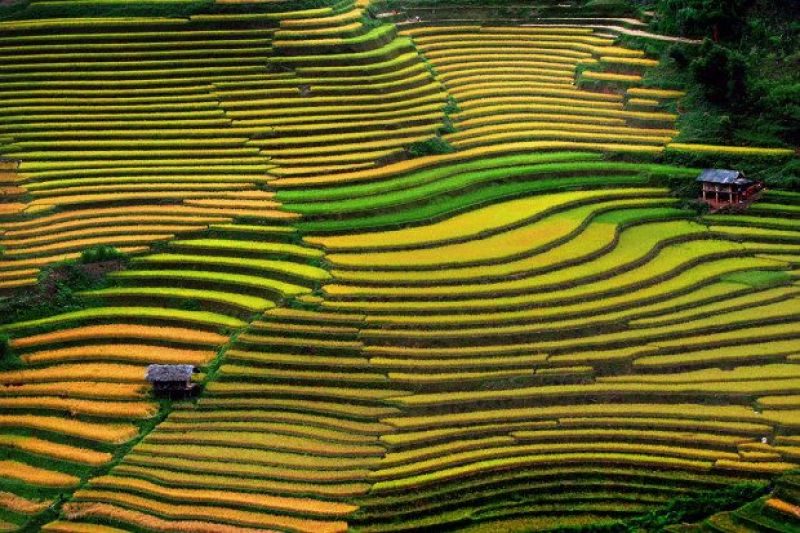 Du Lịch Lâm Đồng