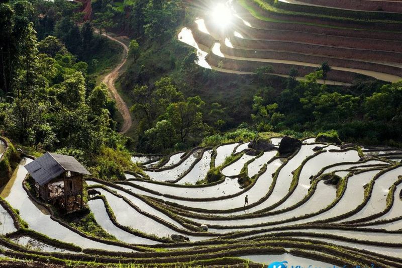 Du Lịch Yên Bái