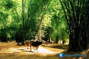 [Đà Nẵng] làng cổ Phong Nam – vẻ đẹp thanh bình quyến rũ lòng người