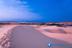 [Bình Thuận] Đồi cát Hồng – Đồi cát bay