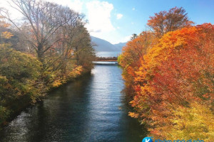 [Nhật Bản] Khám phá vườn quốc gia Nikko