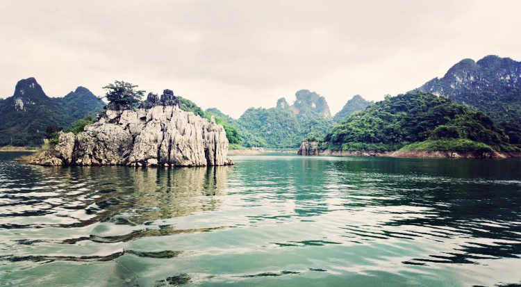 hoa binh 4 1 e1463371414354