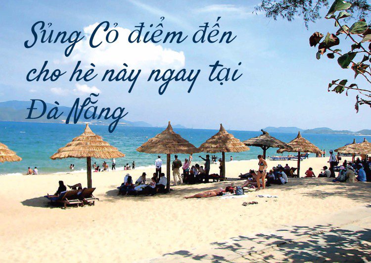 sủng cỏ e1464424213388