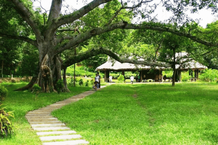 Kinh nghiệm du lịch Tuyên Quang - thủ đô kháng chiến 11 tuyen quang 1 e1462356446440