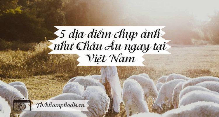 5 dia diem chup anh nhu chau au ngay tai viet nam 1 2 e1466667834672