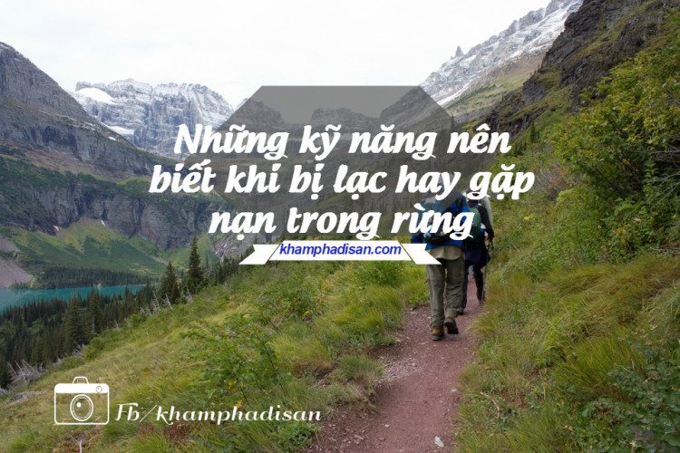 sinh ton 88 e1465614150591