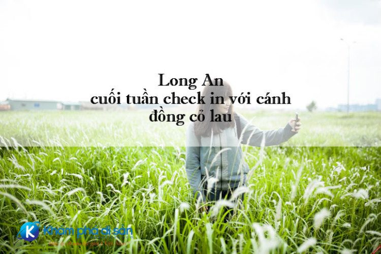 canh dong lau long an 6 1 e1469155216854