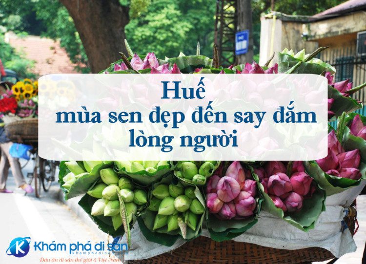hue vao mua sen 10 e1468491459388