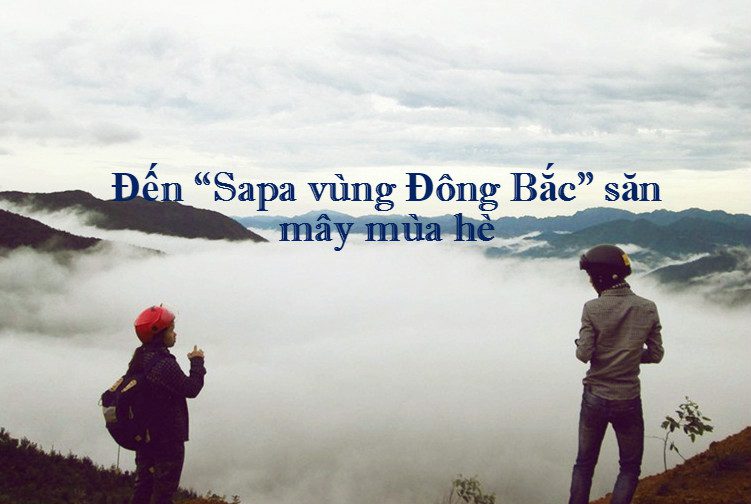 san may sapa vung dong bac 8