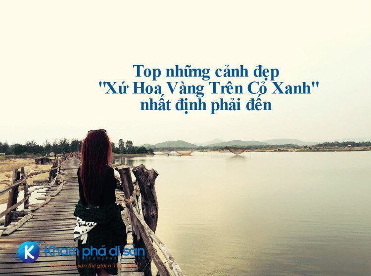Top những cảnh đẹp "Xứ Hoa Vàng Trên Cỏ Xanh" nhất định phải đến 17 top diem den tai phu yen 12 1 e1471579582751