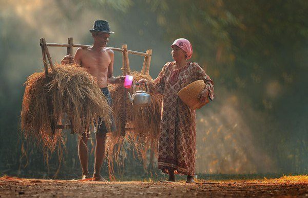 lang que viet noi ta khong thay co don 6