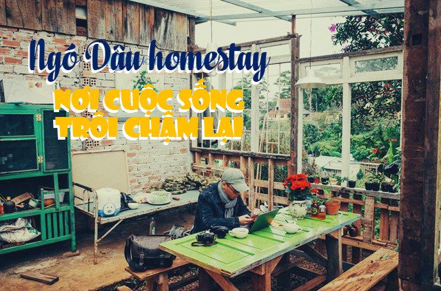 Ngó Dâu homestay - nơi cuộc sống trôi chậm lại 18 ngo dau homestay da lat 2 1