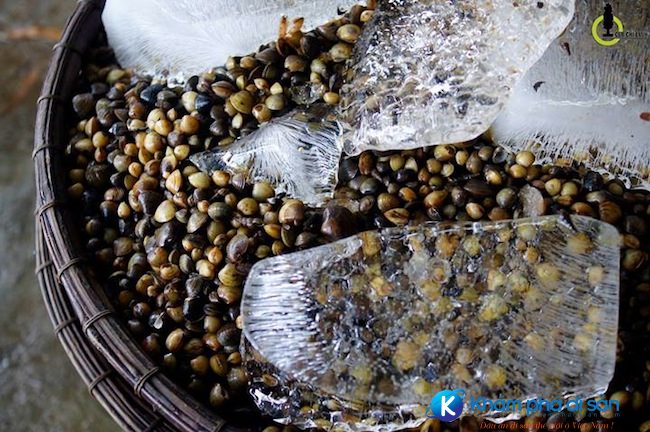 kham pha con hen khamphadisan 5