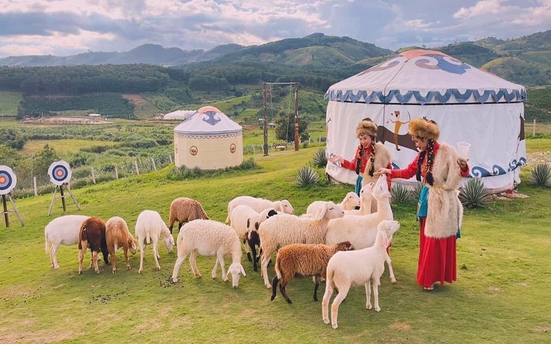 Thoa suc cham soc thu cung Mongo Land