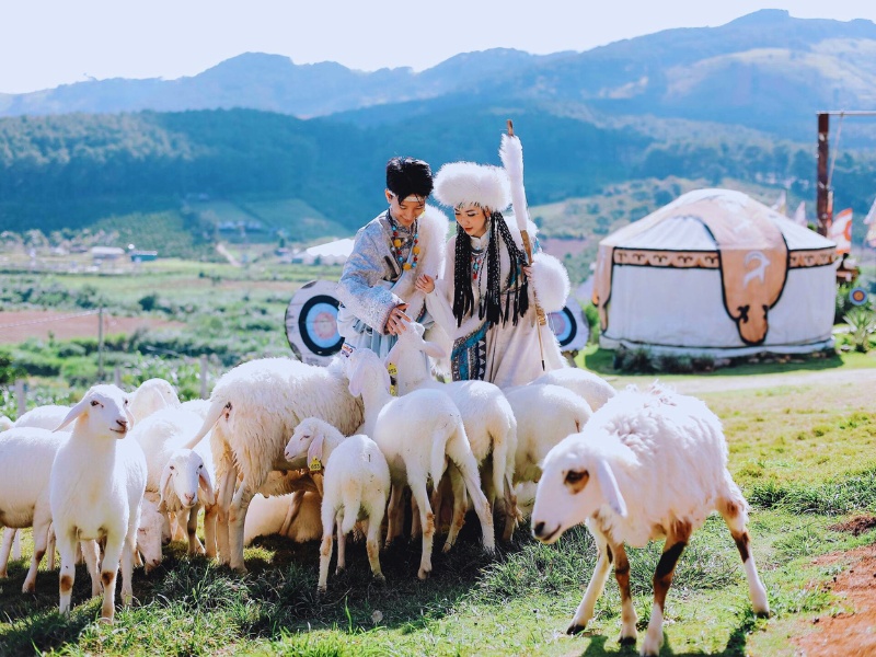 mongo land da lat