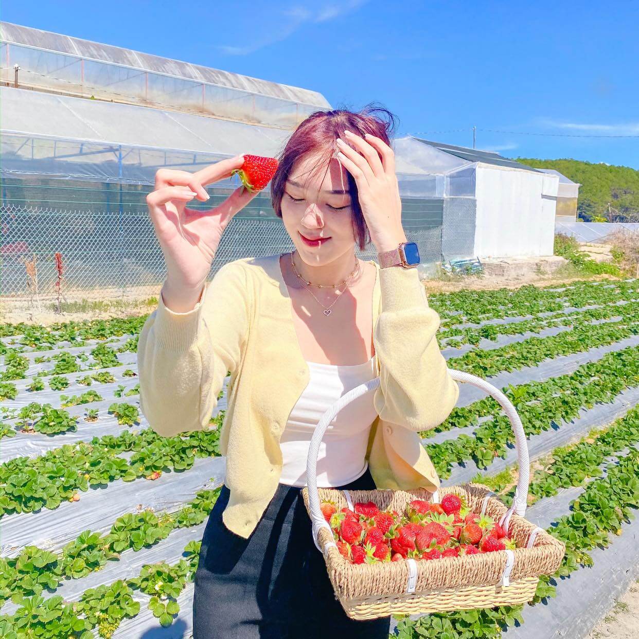 vuon dau tay da lat 02