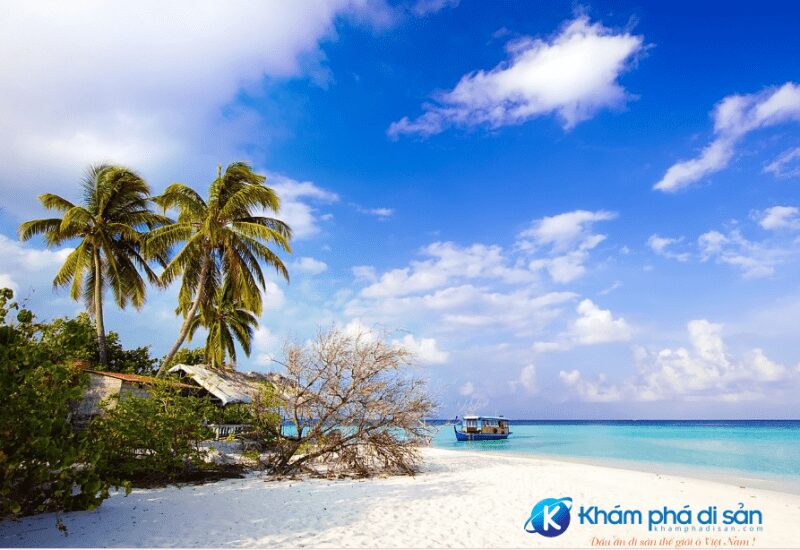 ganh dau beach e1535019389185