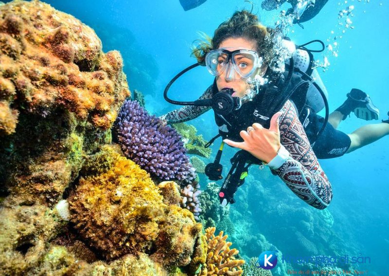 greatbarrier reef kham pha di san e1540865312775