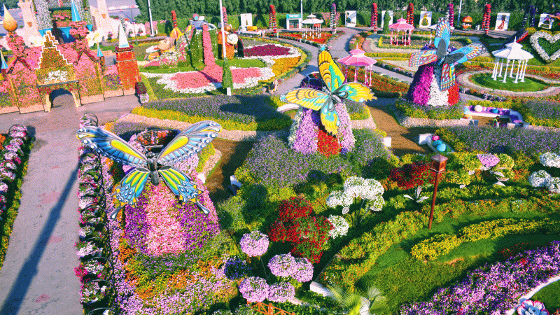 vườn hoa Miracle Garden