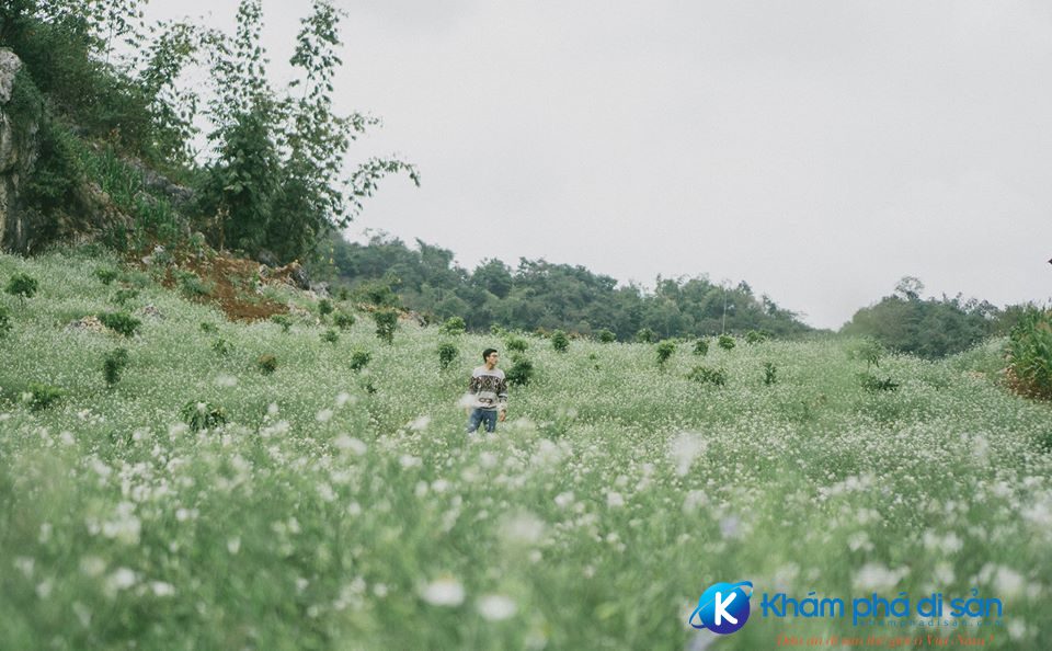 ban pa phach mo chau khamphadisan