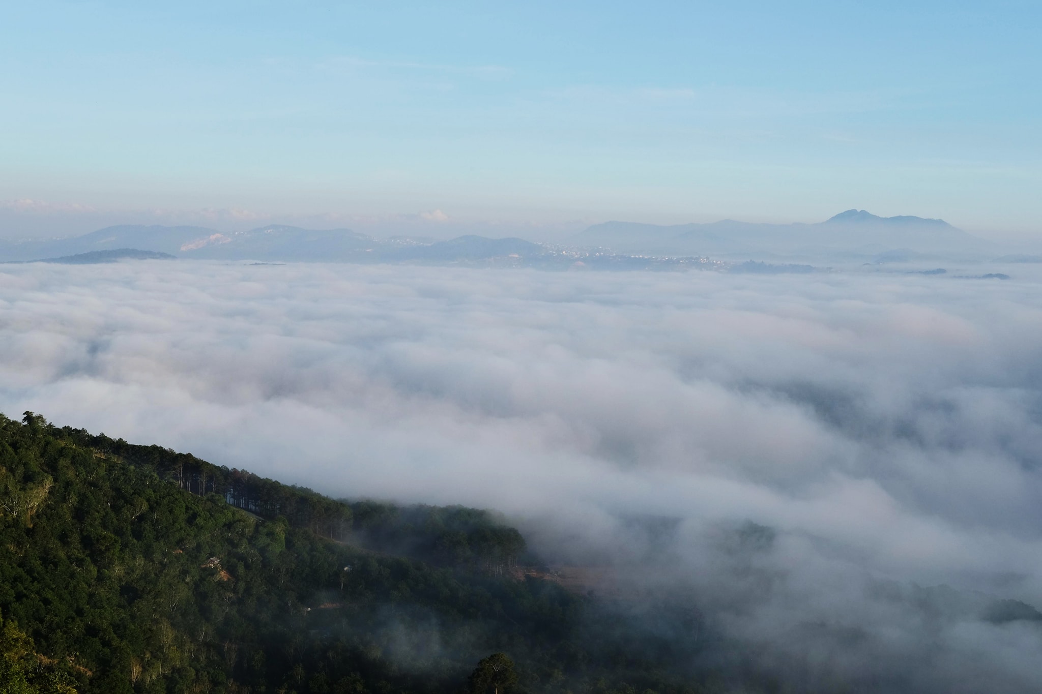 Da Lat Nguyen Khanh Hoang An