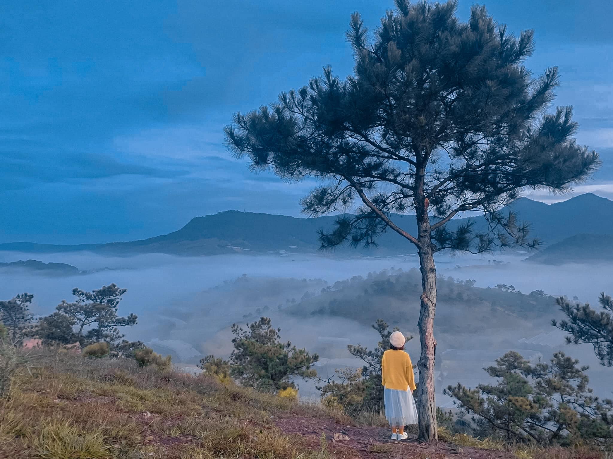 Da Lat So Le