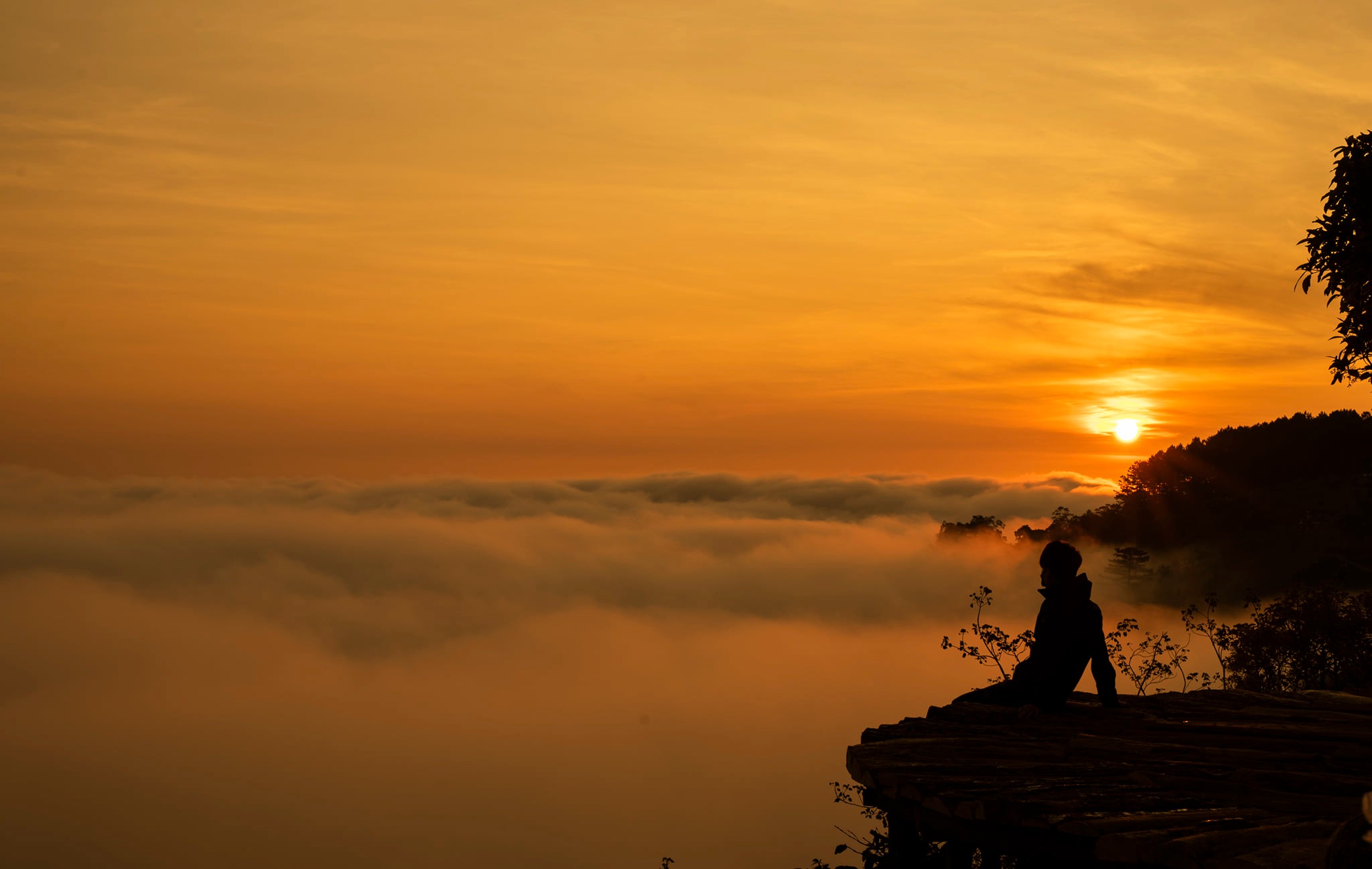 Da Lat Vu Nguyen