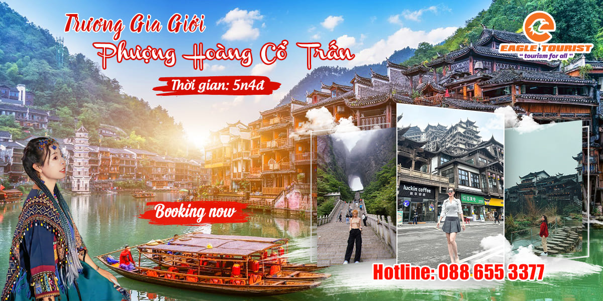 Phuong hoang co tran banner 5n4d