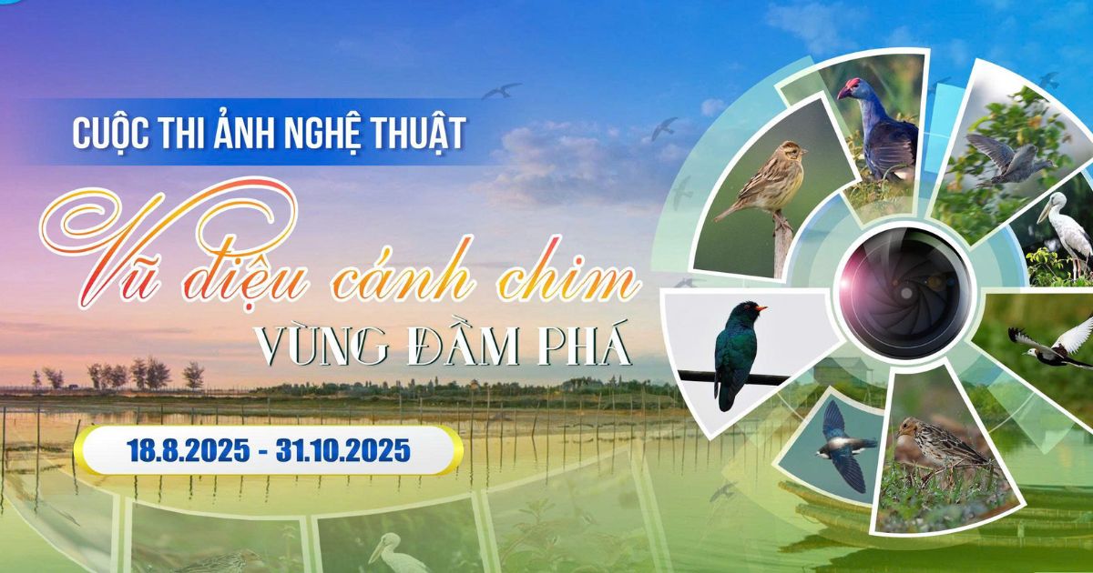 "Vũ Điệu Cánh Chim Vùng Đầm Phá": Cuộc thi ảnh tôn vinh vẻ đẹp chim hoang dã Miền Trung 7 “Vũ Điệu Cánh Chim Vùng Đầm Phá”: Cuộc thi ảnh tôn vinh vẻ đẹp chim hoang dã Miền Trung