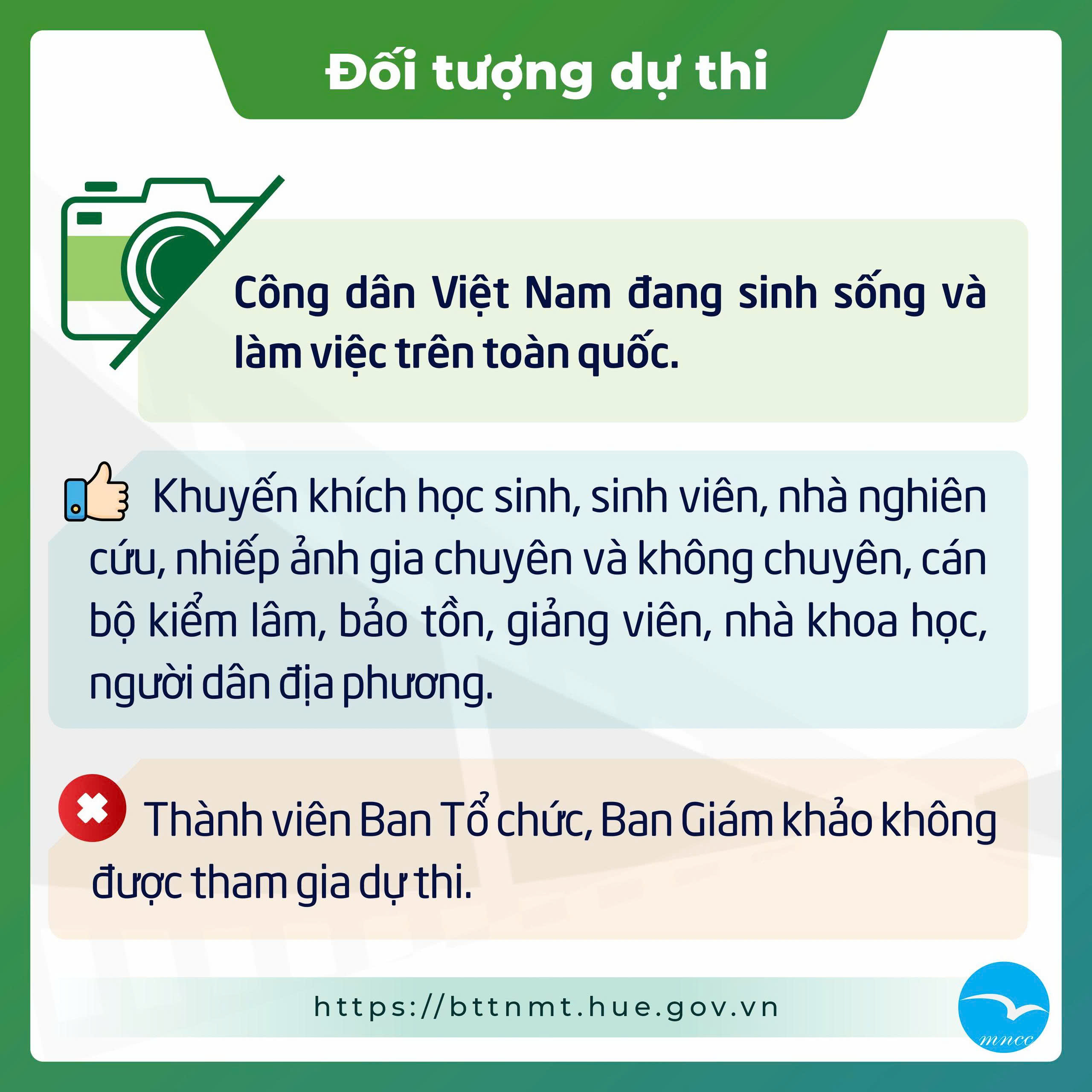 “Vũ Điệu Cánh Chim Vùng Đầm Phá”: Cuộc thi ảnh tôn vinh vẻ đẹp chim hoang dã Miền Trung