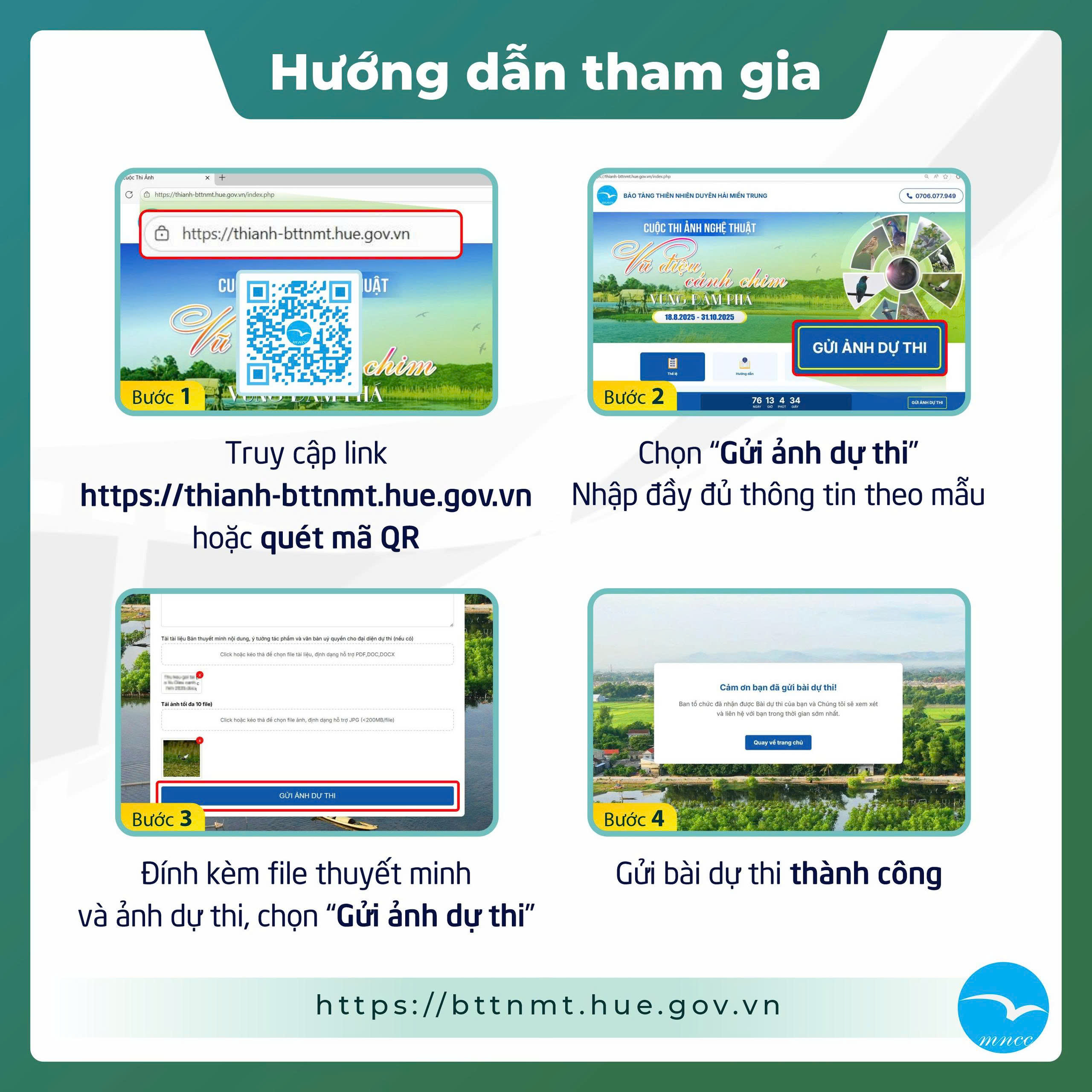 “Vũ Điệu Cánh Chim Vùng Đầm Phá”: Cuộc thi ảnh tôn vinh vẻ đẹp chim hoang dã Miền Trung