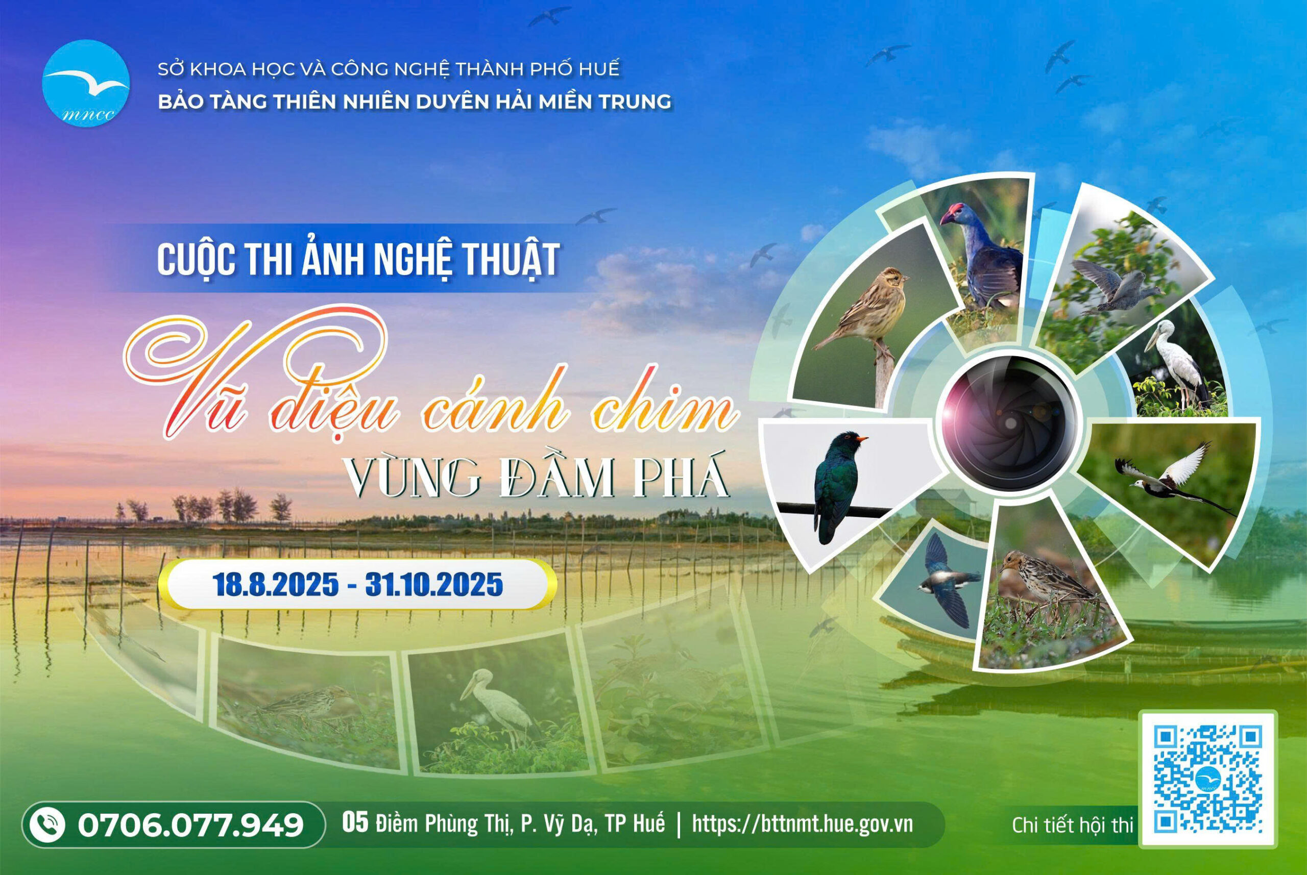 “Vũ Điệu Cánh Chim Vùng Đầm Phá”: Cuộc thi ảnh tôn vinh vẻ đẹp chim hoang dã Miền Trung