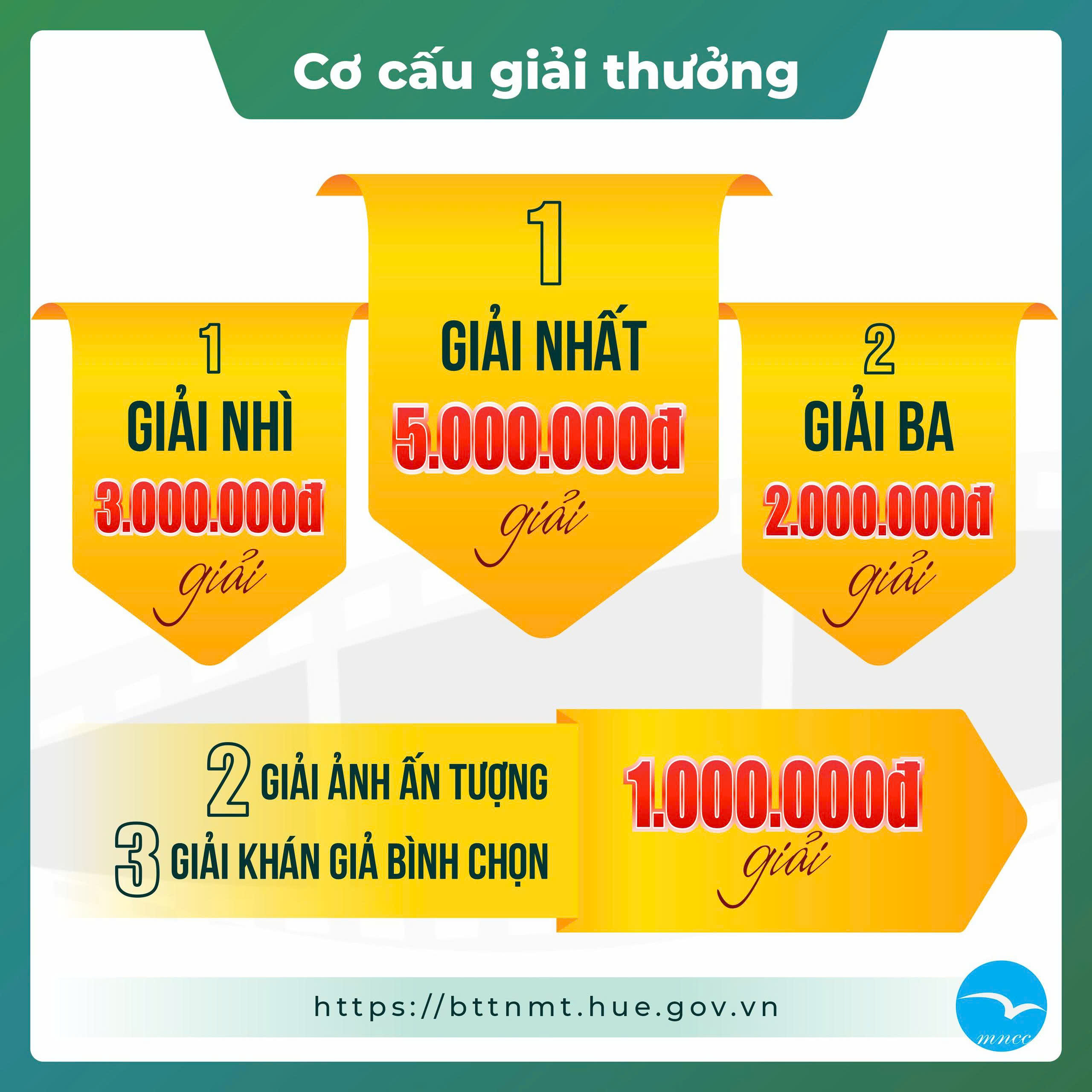 “Vũ Điệu Cánh Chim Vùng Đầm Phá”: Cuộc thi ảnh tôn vinh vẻ đẹp chim hoang dã Miền Trung