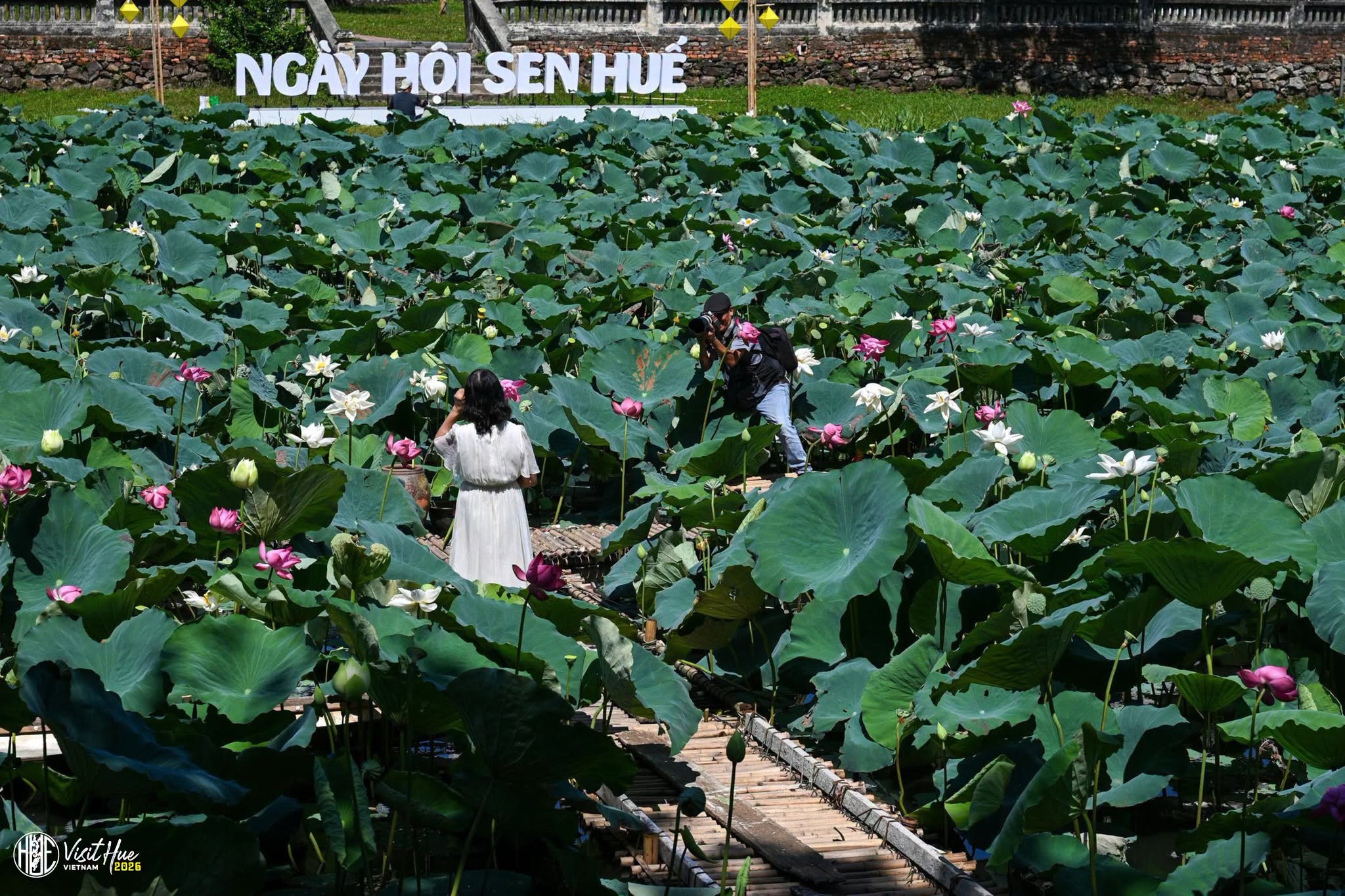 Đêm huyền ảo tại “Thức Thủy Show” đánh thức mọi giác quan cùng Ngày Hội Sen Huế