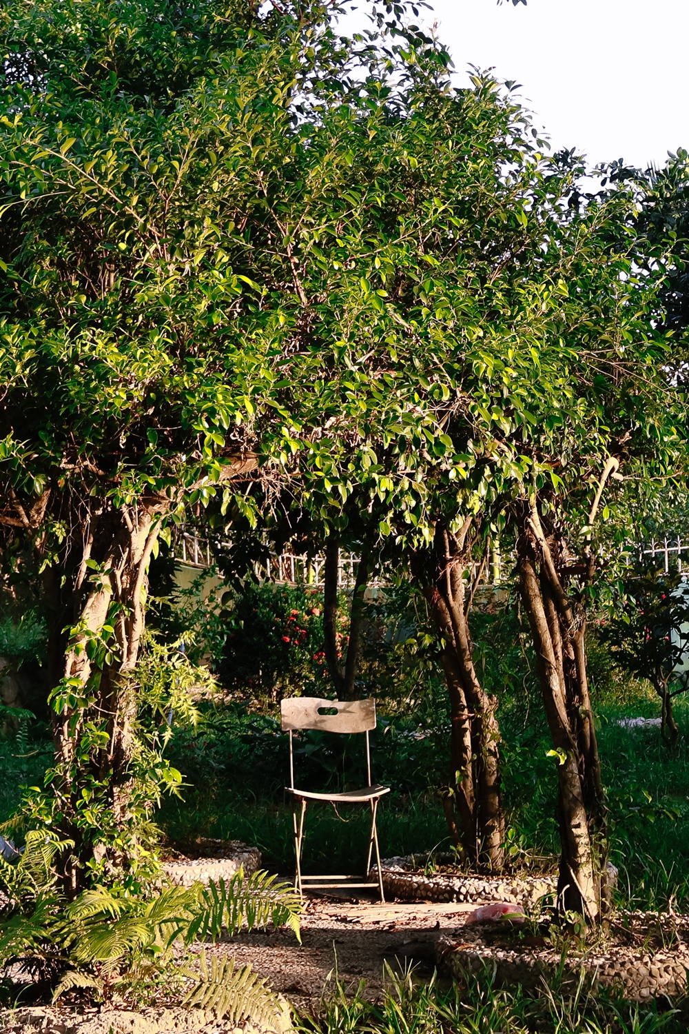 Dreamie House Huế – Chốn Bình Yên Giữa Lòng Cố Đô